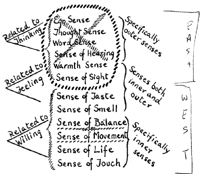 Figure from Page 21 of book showing 12 Senses from Ego at top to Touch at bottom.