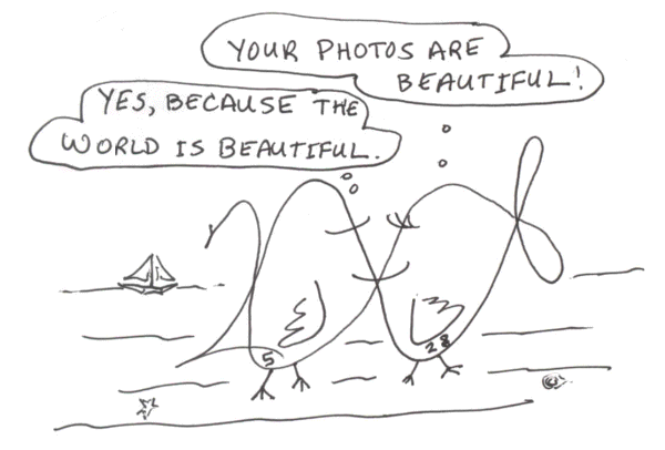 Photography, Cartoon Copyright 20087 by Bobby Matherne