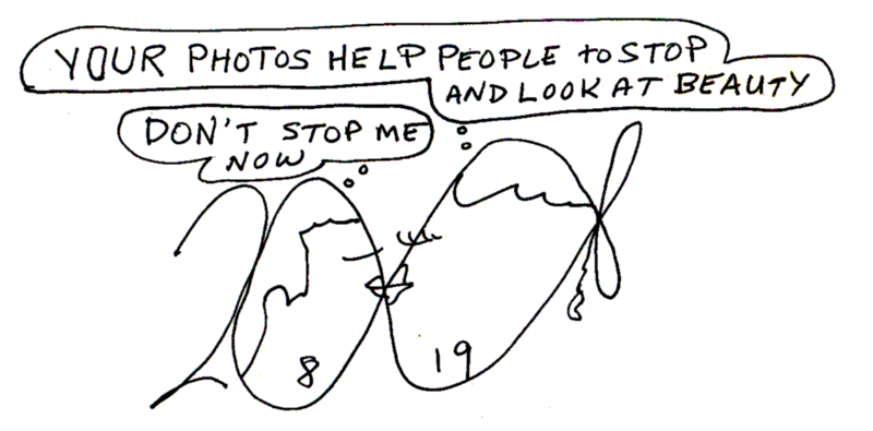 TITLE, Cartoon Copyright 2008 by Bobby Matherne