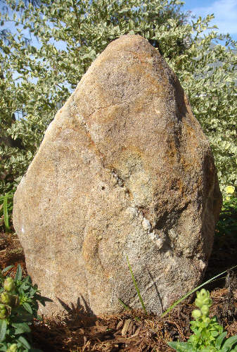 Prehistoric Upright Stone at Timberlane, Stone recovered from obscurity by, Stood up by, Photo by & Copyright 2011 by Bobby Matherne