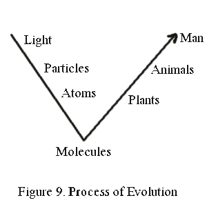  Figure 9. Process of Evolution described by Arthur Young in his book, 'The Reflexive Universe'. 