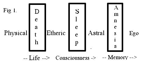 Figure 1 Diagram of Flow of Four Bodies