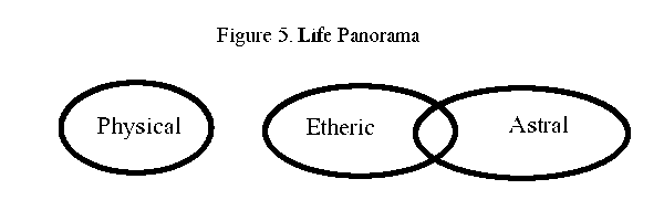 Figure 5 Diagram of the 3 Bodies while Viewing the Panorama of Life.